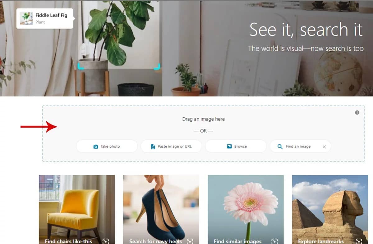 Bing's Visual Search page