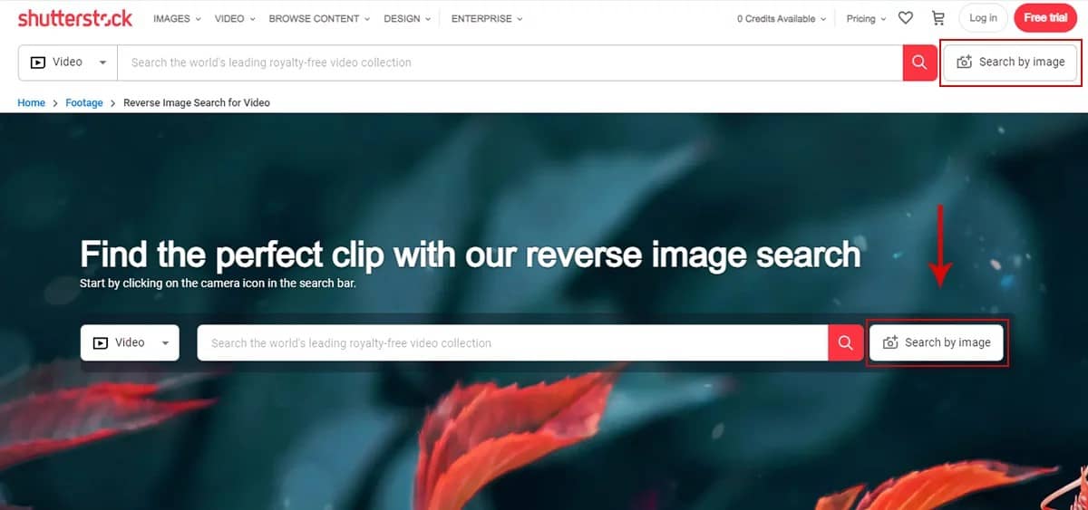 Visit the reverse image search on Shutterstock