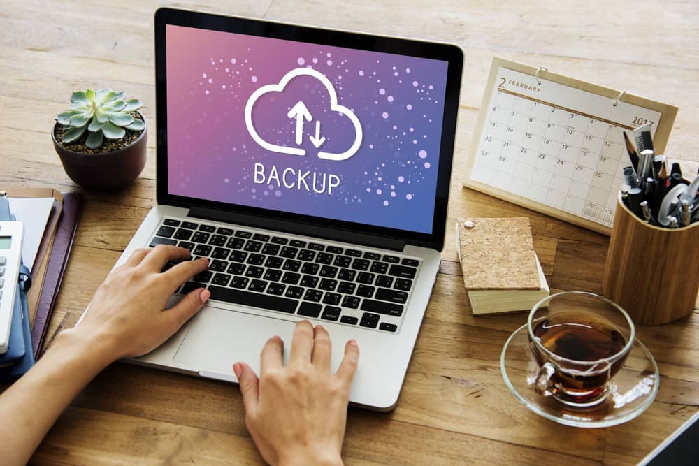 Backup Your Website data